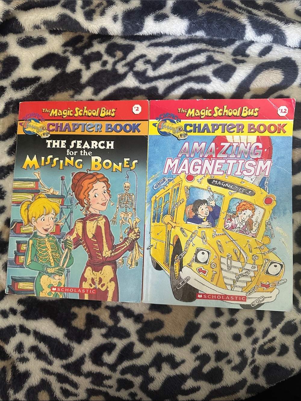 Scholastic The Magic School Bus Chapter Books - Yellow & Red Covers